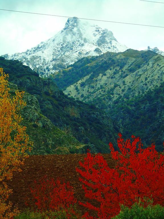 Apartamentos Turisticos Cumbres Verdes Ла-Субия Экстерьер фото